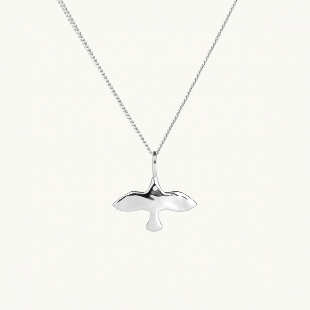 en ojämn duva på ett halsband