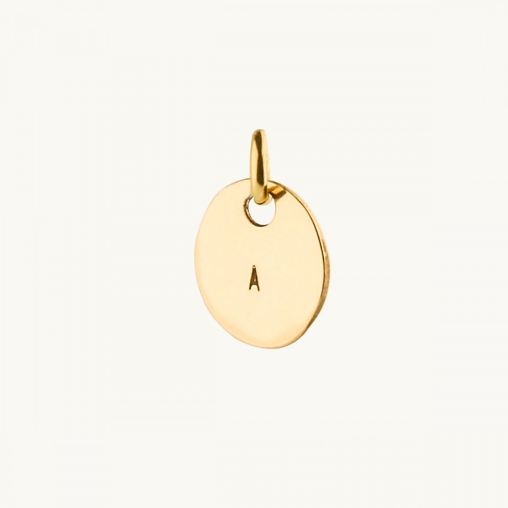 Bokstavsmynt halsband i guld