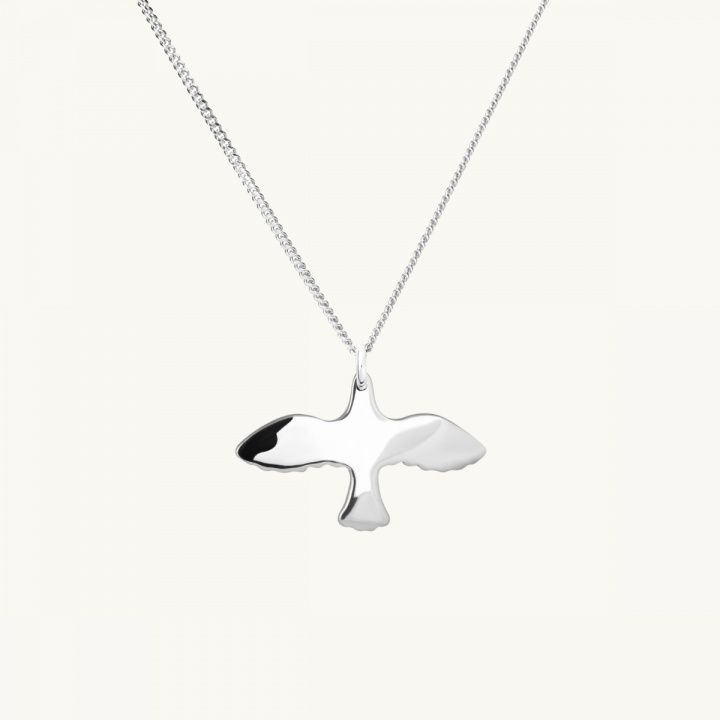 Duvhalsband i silver