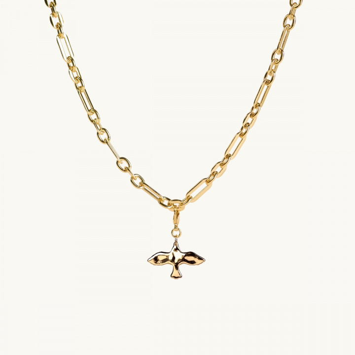 Guldduva på en tjock kedja