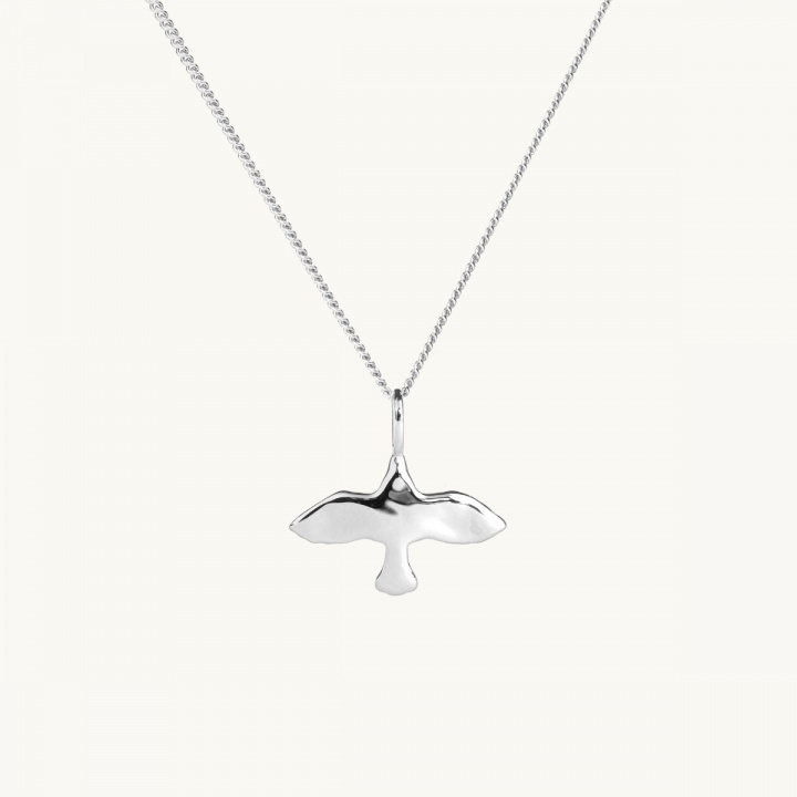 en ojämn duva på ett halsband