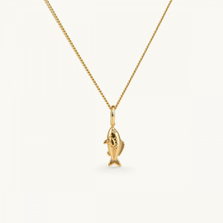 Halsband med en guldfärgad fiskberlock hängande från en kedja. Berlocken har detaljer som visar fiskens form och textur. Ögonen har en vit cz-sten.